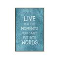 Picture of Live For The Moments II _GroupedProduct_Rectangle_Portrait_Canvas_Framed_