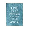 Picture of Live For The Moments II _GroupedProduct_Rectangle_Portrait_Canvas_Framed_