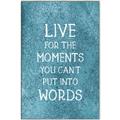 Picture of Live For The Moments II _GroupedProduct_Rectangle_Portrait_Canvas_Framed_