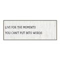 Picture of Live For The Moments _GroupedProduct_Panel_Landscape_Canvas_Framed_