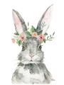 Picture of Floral Bunny _GroupedProduct_Rectangle_Portrait_Unframed_Print_Only_
