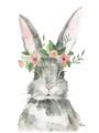 Picture of Floral Bunny _GroupedProduct_Rectangle_Portrait_Unframed_Print_Only_