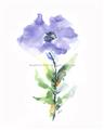 Picture of Purple Petunia I _GroupedProduct_Rectangle_Portrait_Unframed_Print_Only_