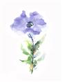 Picture of Purple Petunia I _GroupedProduct_Rectangle_Portrait_Unframed_Print_Only_