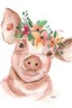 Picture of Flower Piglet _GroupedProduct_Rectangle_Portrait_Unframed_Print_Only_