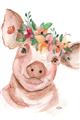 Picture of Flower Piglet _GroupedProduct_Rectangle_Portrait_Unframed_Print_Only_