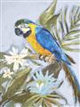 Picture of Parrot Paradise II  _GroupedProduct_Rectangle_Portrait_Unframed_Print_Only_