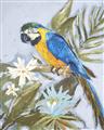 Picture of Parrot Paradise II  _GroupedProduct_Rectangle_Portrait_Unframed_Print_Only_