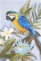 Picture of Parrot Paradise II  _GroupedProduct_Rectangle_Portrait_Unframed_Print_Only_
