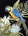 Picture of Parrot Paradise IV _GroupedProduct_Rectangle_Portrait_Unframed_Print_Only_