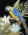 Picture of Parrot Paradise IV _GroupedProduct_Rectangle_Portrait_Unframed_Print_Only_
