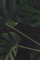 Picture of Tropical Palm Leaves I _GroupedProduct_Rectangle_Portrait_Unframed_Print_Only_