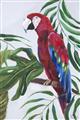 Picture of Red Parrot Paradise I _GroupedProduct_Rectangle_Portrait_Unframed_Print_Only_