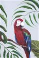 Picture of Red Parrot Paradise II _GroupedProduct_Rectangle_Portrait_Unframed_Print_Only_