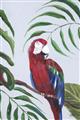Picture of Red Parrot Paradise II _GroupedProduct_Rectangle_Portrait_Unframed_Print_Only_