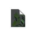 Picture of Vein Leaves I _GroupedProduct_Rectangle_Portrait_Unframed_Print_Only_