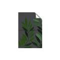Picture of Vein Leaves I _GroupedProduct_Rectangle_Portrait_Unframed_Print_Only_