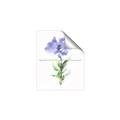 Picture of Purple Petunia I _GroupedProduct_Rectangle_Portrait_Unframed_Print_Only_