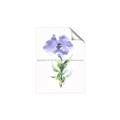 Picture of Purple Petunia I _GroupedProduct_Rectangle_Portrait_Unframed_Print_Only_