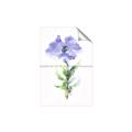 Picture of Purple Petunia I _GroupedProduct_Rectangle_Portrait_Unframed_Print_Only_