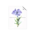 Picture of Purple Petunia I _GroupedProduct_Rectangle_Portrait_Unframed_Print_Only_