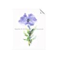 Picture of Purple Petunia I _GroupedProduct_Rectangle_Portrait_Unframed_Print_Only_