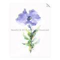 Picture of Purple Petunia I _GroupedProduct_Rectangle_Portrait_Unframed_Print_Only_