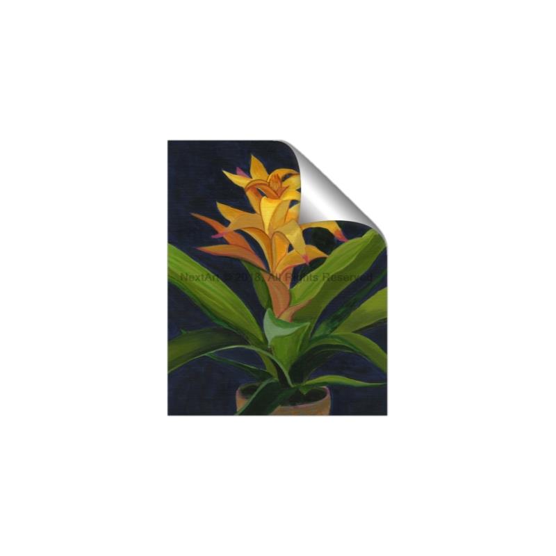 Picture of Indoor Plant _GroupedProduct_Rectangle_Portrait_Unframed_Print_Only_