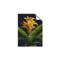 Picture of Indoor Plant _GroupedProduct_Rectangle_Portrait_Unframed_Print_Only_