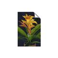 Picture of Indoor Plant _GroupedProduct_Rectangle_Portrait_Unframed_Print_Only_