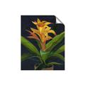 Picture of Indoor Plant _GroupedProduct_Rectangle_Portrait_Unframed_Print_Only_