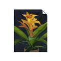 Picture of Indoor Plant _GroupedProduct_Rectangle_Portrait_Unframed_Print_Only_