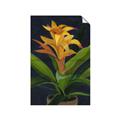 Picture of Indoor Plant _GroupedProduct_Rectangle_Portrait_Unframed_Print_Only_