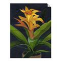Picture of Indoor Plant _GroupedProduct_Rectangle_Portrait_Unframed_Print_Only_