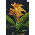 Picture of Indoor Plant _GroupedProduct_Rectangle_Portrait_Unframed_Print_Only_