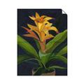 Picture of Indoor Plant _GroupedProduct_Rectangle_Portrait_Unframed_Print_Only_