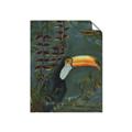 Picture of Long Beak I _GroupedProduct_Rectangle_Portrait_Unframed_Print_Only_