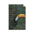 Picture of Long Beak I _GroupedProduct_Rectangle_Portrait_Unframed_Print_Only_