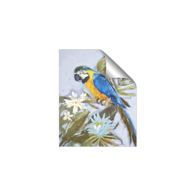 Picture of Parrot Paradise II  _GroupedProduct_Rectangle_Portrait_Unframed_Print_Only_