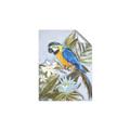 Picture of Parrot Paradise II  _GroupedProduct_Rectangle_Portrait_Unframed_Print_Only_