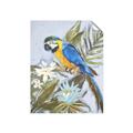 Picture of Parrot Paradise II  _GroupedProduct_Rectangle_Portrait_Unframed_Print_Only_