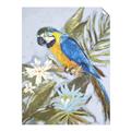 Picture of Parrot Paradise II  _GroupedProduct_Rectangle_Portrait_Unframed_Print_Only_