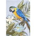 Picture of Parrot Paradise II  _GroupedProduct_Rectangle_Portrait_Unframed_Print_Only_