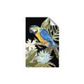 Picture of Parrot Paradise IV _GroupedProduct_Rectangle_Portrait_Unframed_Print_Only_