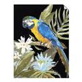 Picture of Parrot Paradise IV _GroupedProduct_Rectangle_Portrait_Unframed_Print_Only_