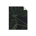 Picture of Tropical Palm Leaves I _GroupedProduct_Rectangle_Portrait_Unframed_Print_Only_