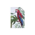 Picture of Red Parrot Paradise I _GroupedProduct_Rectangle_Portrait_Unframed_Print_Only_