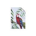 Picture of Red Parrot Paradise II _GroupedProduct_Rectangle_Portrait_Unframed_Print_Only_