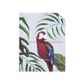 Picture of Red Parrot Paradise II _GroupedProduct_Rectangle_Portrait_Unframed_Print_Only_