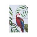 Picture of Red Parrot Paradise II _GroupedProduct_Rectangle_Portrait_Unframed_Print_Only_